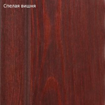 ​Масло для наружных работ Спелая вишня PNZ